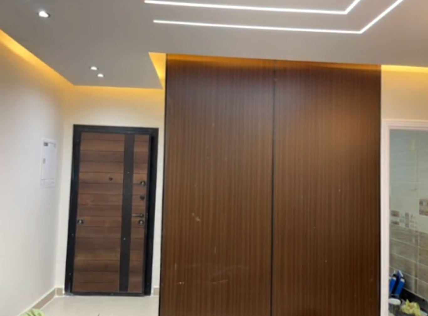 Project 3 photo for a real estate interior project in New Capital